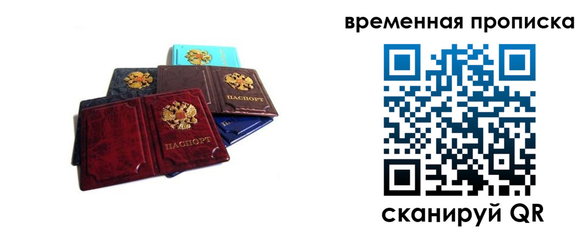 прописка законно в Камышлове